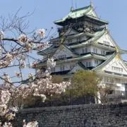 雪哉の画像