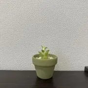 えま＊プロフィール確認お願いします！の画像