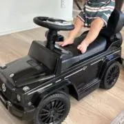 やなの画像