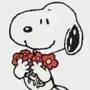【値下げ不可】しょんた※プロフ必読の画像