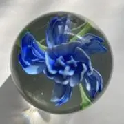 ここる⭐︎プロフィールをご覧下さいの画像