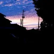 リックル