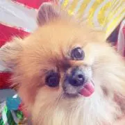りょの画像