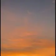 19の画像