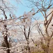 ハピべ★プロフ必読  即購入◎の画像