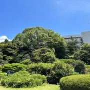 Tの画像