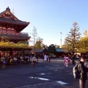 Y.の画像