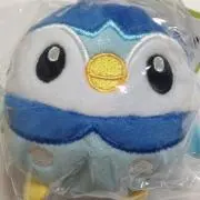 りさの画像