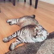 muchimaroの画像