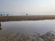 ウンピーの画像