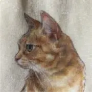 カーリーの画像