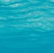ちょこちっぷの画像