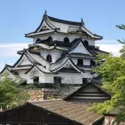ハルハルの画像