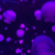 NOKN★SALE中★プロフィール必読の画像