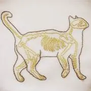 MARUKOの画像