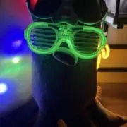 ナタデココの画像