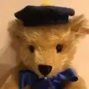 みかんの画像