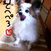 ☺︎