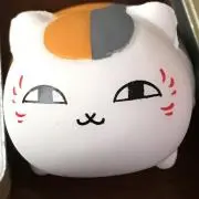 リキぞうの画像