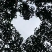 キラキラの画像