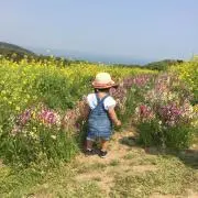minihimawariの画像