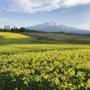 VERSYSの画像