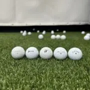 ワンパットの画像