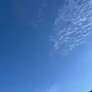 mikanの画像