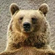 ぷるたん