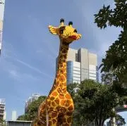 ミックの画像