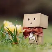 あい