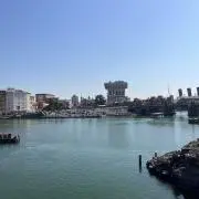 楽天野球団創設20周年特別企画にて、出された岩隈久志さんの直筆サイン