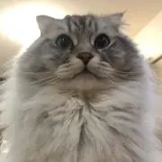 みっちゃん