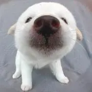 うーさん