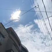 すっちー【翌日発送は天候次第】の画像