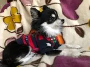 いっちゃん(プロフ必読くださの画像
