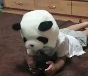 ☻かんまぼ☻の画像