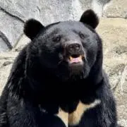 おにく坊Yaの画像