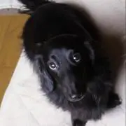 tooshiの画像
