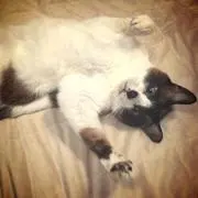 じゅりの画像