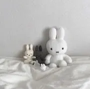 pom
