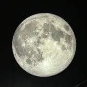 さとうᵕ̈*迅速発送‪ ·͜·即購入OKの画像