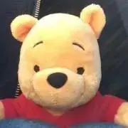 ぷーの画像