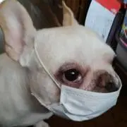 KURUの画像
