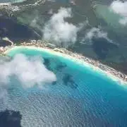 ミッシェル☆の画像