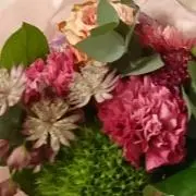 あらいぐまの画像