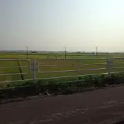 バキの画像
