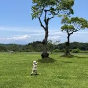 ＊お気軽にご質問ください＊の画像