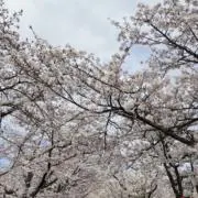 mococoの画像