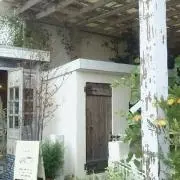ミントの画像